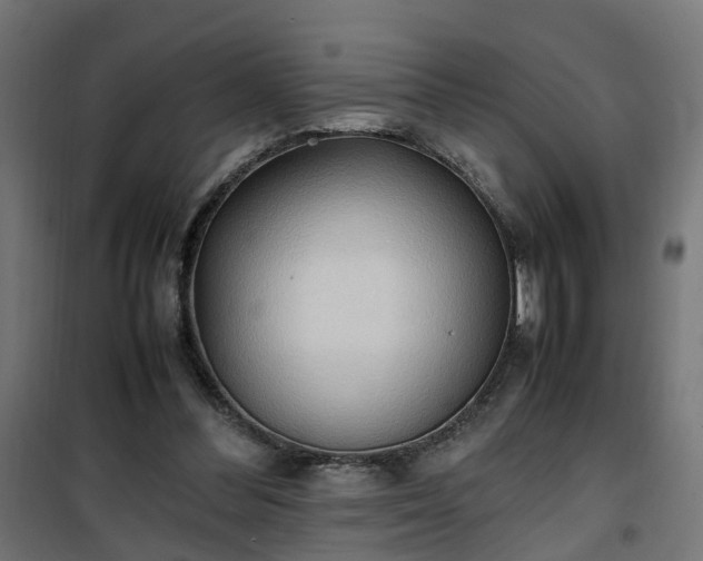 X0000100480300200806201636