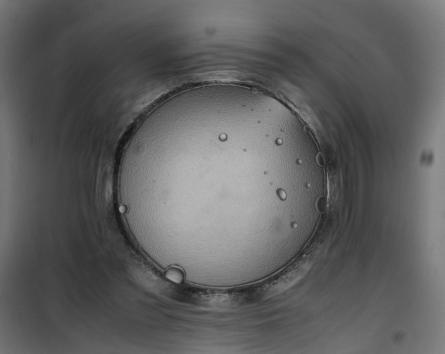 X0000100480301200806201636