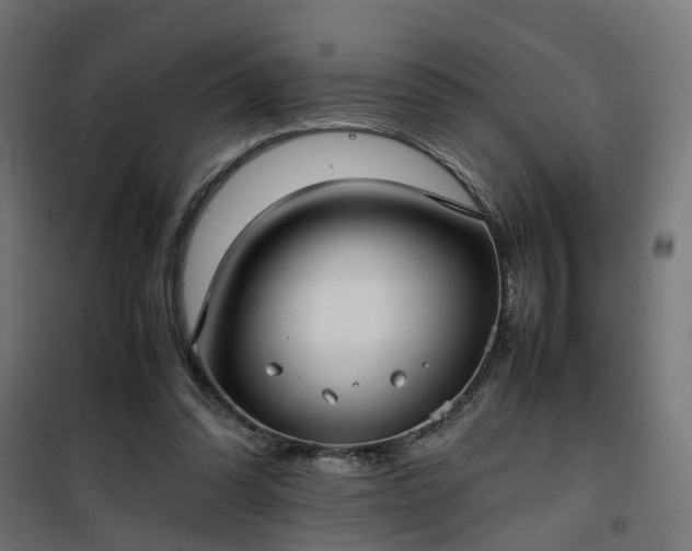 X0000100480302200806201636