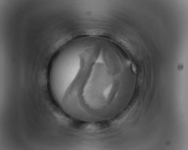 X0000100480303200806201636