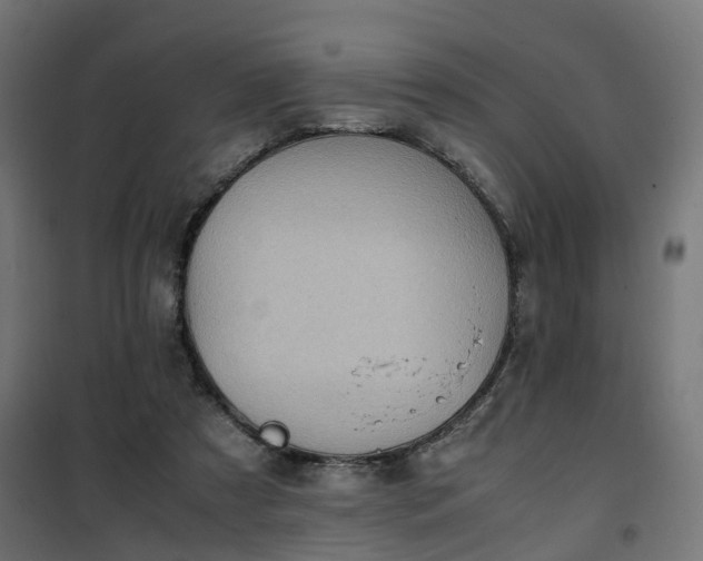 X0000100480305200806201636