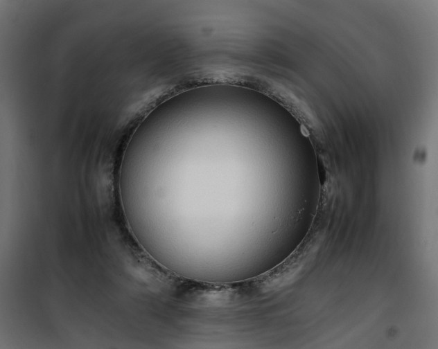 X0000100480306200806201636
