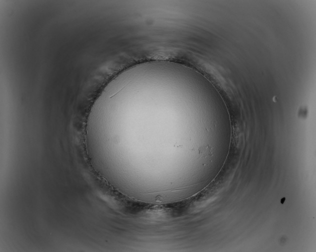 X0000100480307200806201636