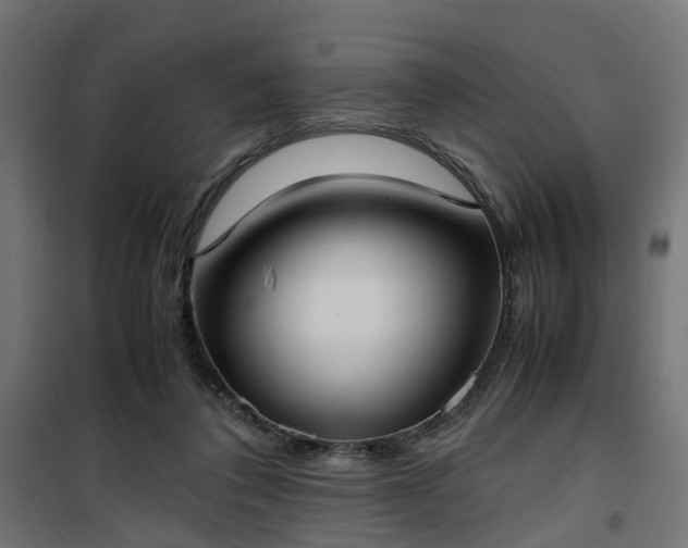 X0000100480308200806201636