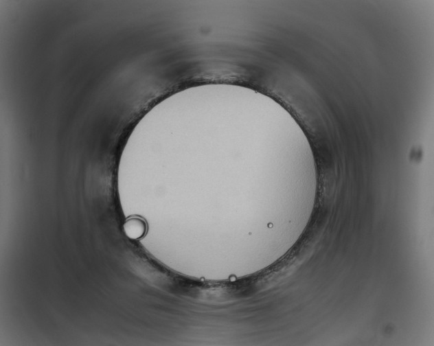 X0000100480309200806201636
