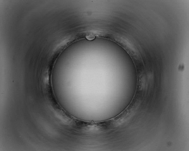 X0000100480310200806201636