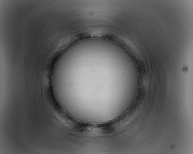 X0000100480311200806201636