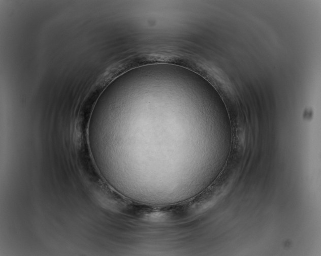 X0000100480312200806201636