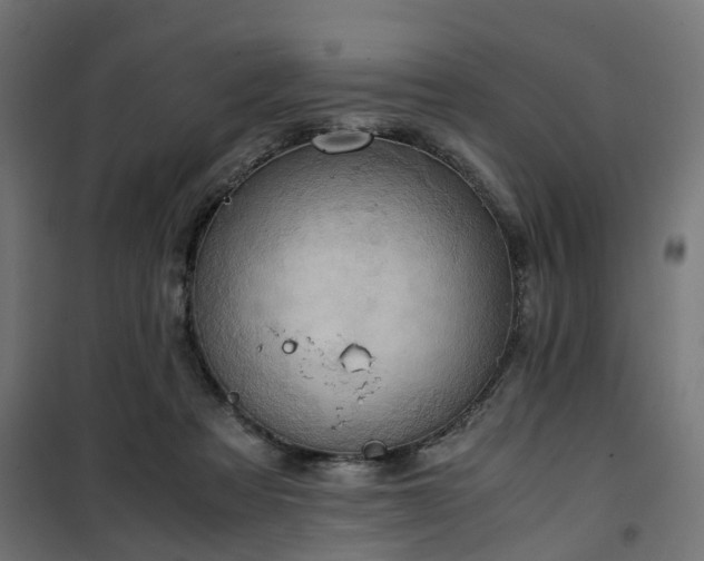 X0000100480313200806201636