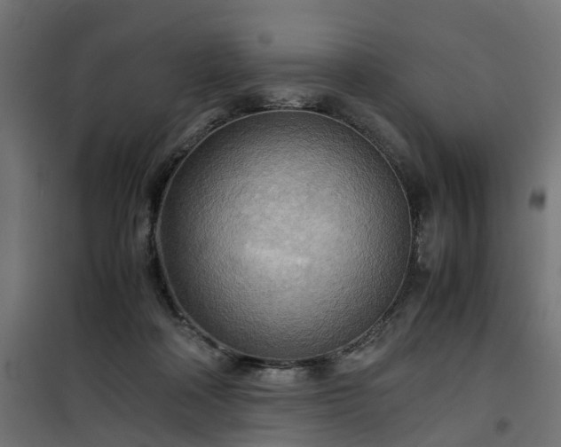 X0000100480314200806201636