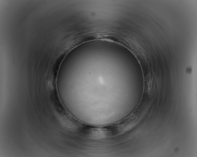 X0000100480316200806201636