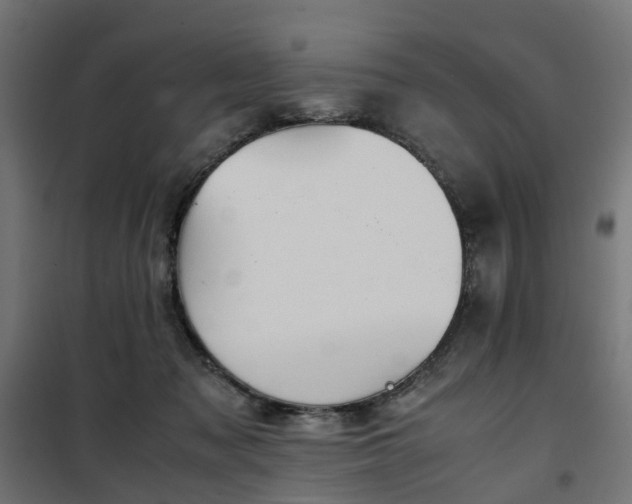 X0000100480317200806201636