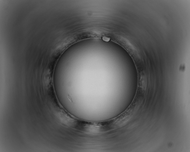 X0000100480318200806201636