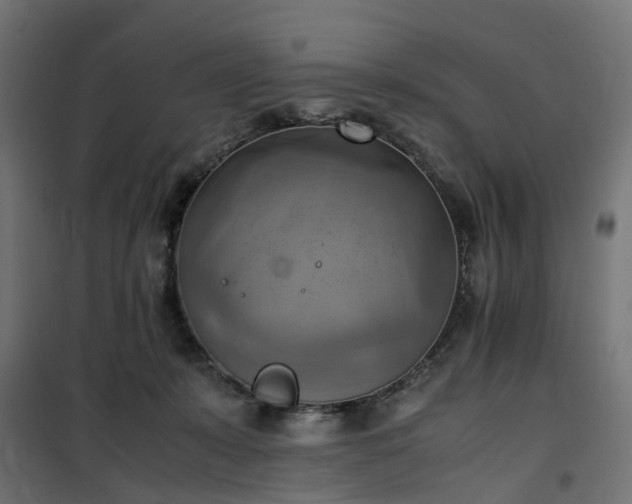 X0000100480319200806201636
