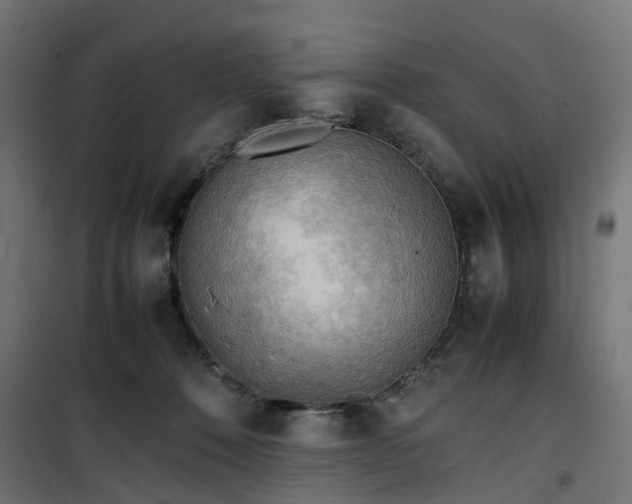 X0000100480320200806201636