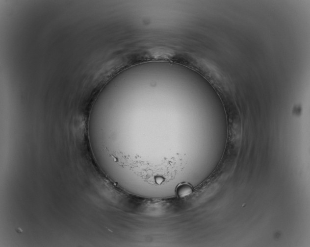X0000100480321200806201636