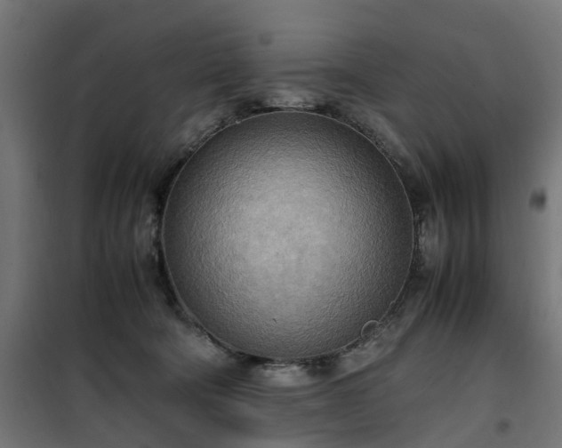 X0000100480322200806201636
