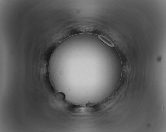 X0000100480323200806201636