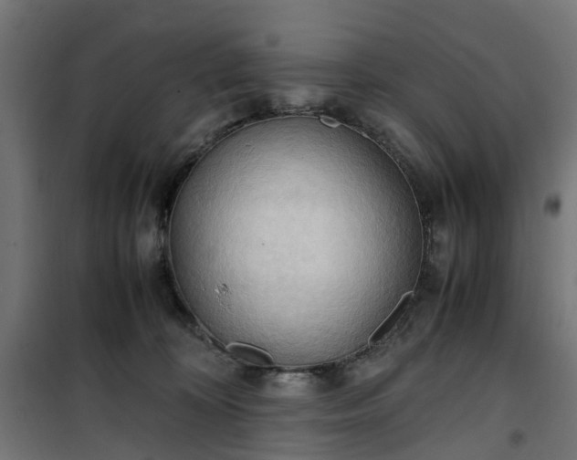 X0000100480324200806201636