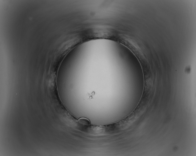 X0000100480325200806201636