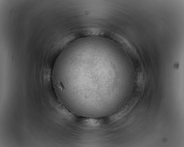 X0000100480326200806201636