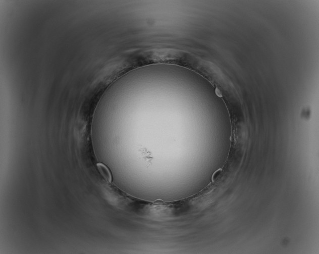 X0000100480327200806201635