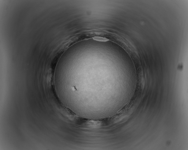 X0000100480328200806201635