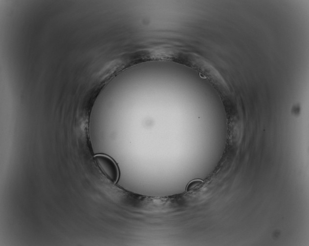 X0000100480329200806201635