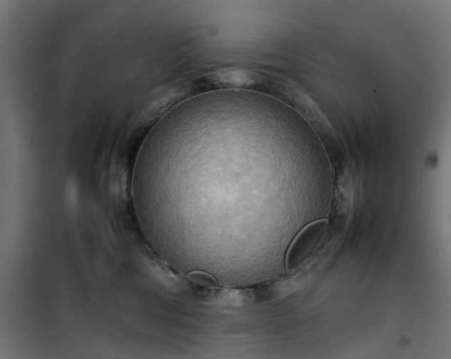 X0000100480330200806201635