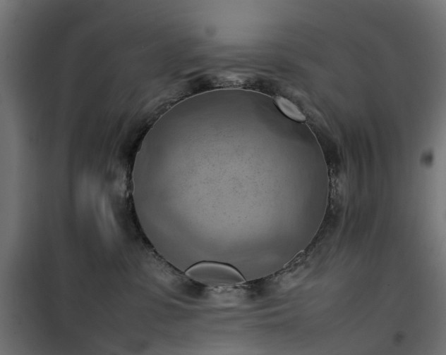 X0000100480331200806201635