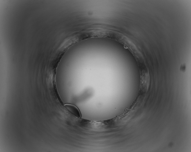 X0000100480333200806201635