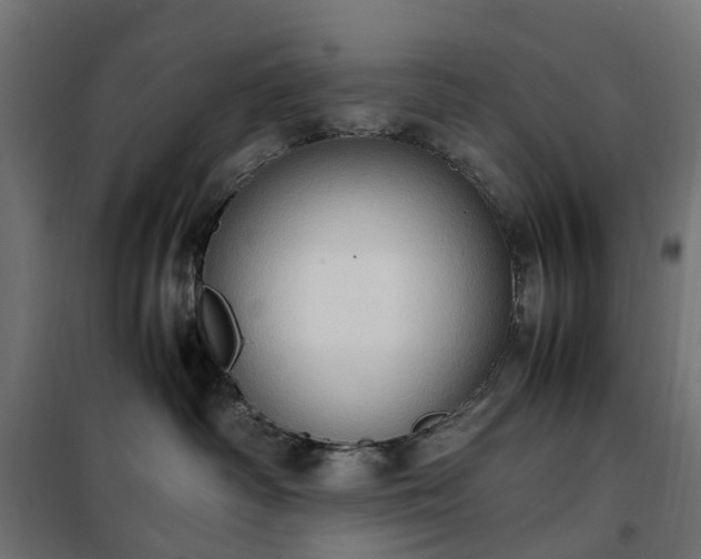 X0000100480334200806201635