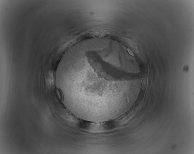 X0000100480335200806201635