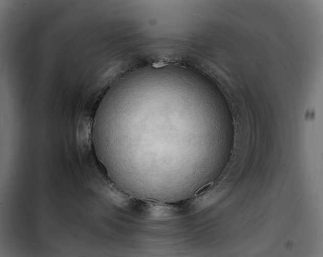 X0000100480336200806201635