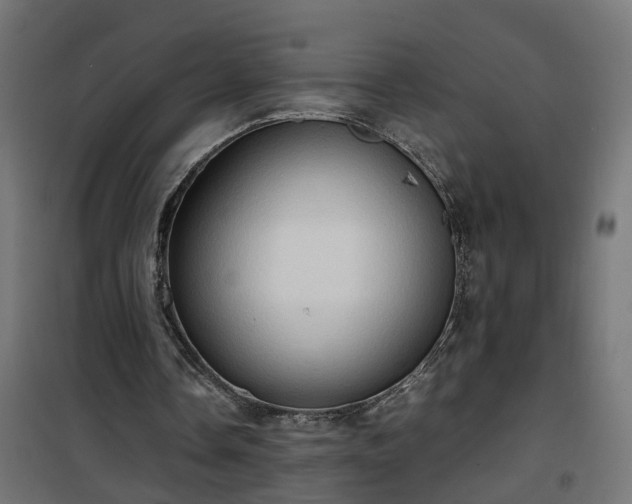 X0000100480338200806201635