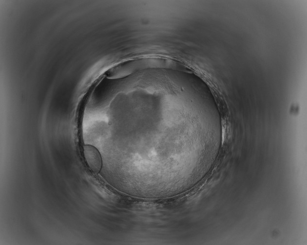 X0000100480339200806201635