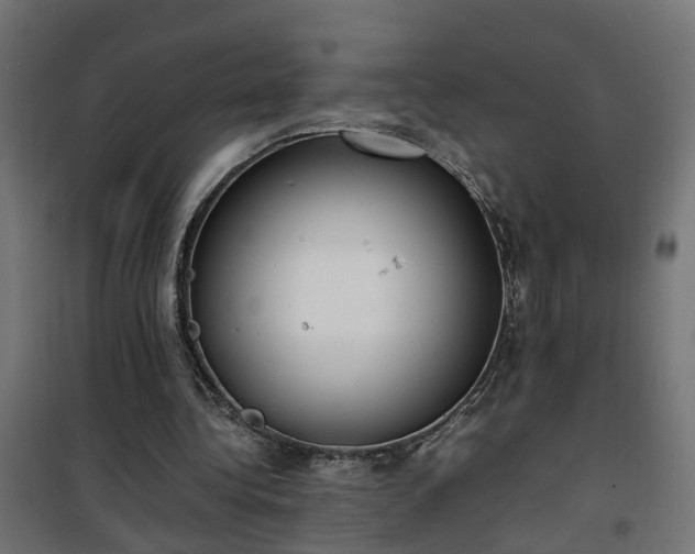 X0000100480340200806201635