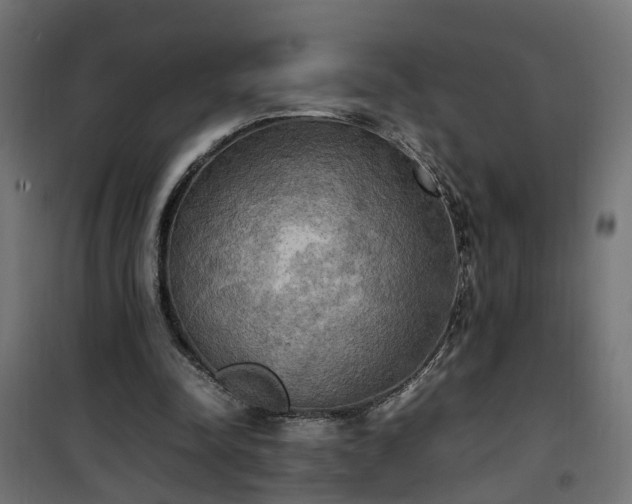 X0000100480342200806201635