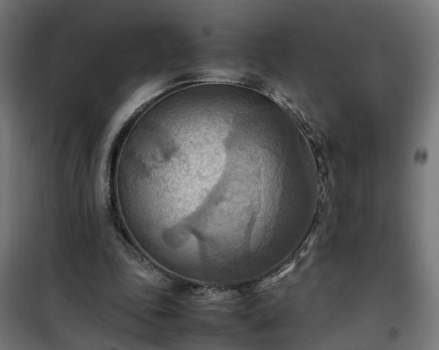 X0000100480343200806201635