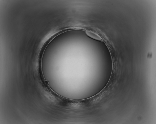 X0000100480344200806201635