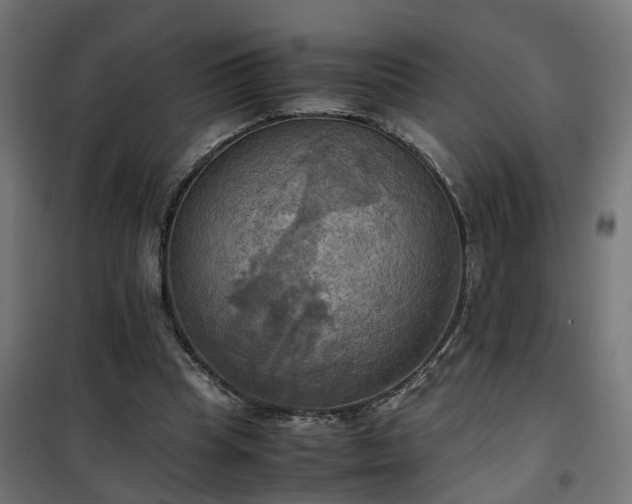 X0000100480345200806201635