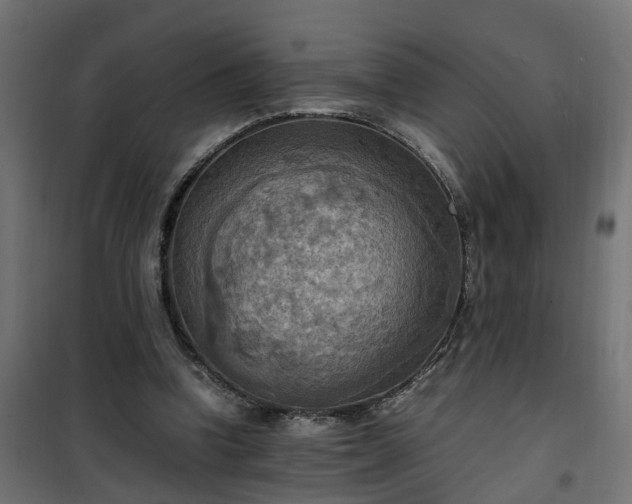 X0000100480346200806201635