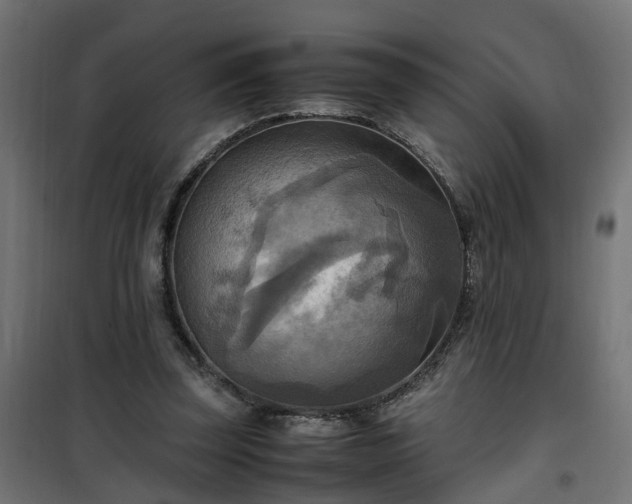 X0000100480347200806201635
