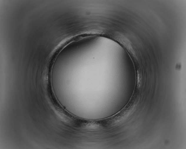 X0000100480348200806201635