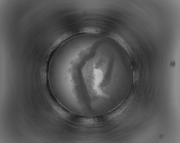 X0000100480349200806201635