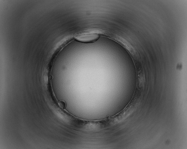 X0000100480350200806201635