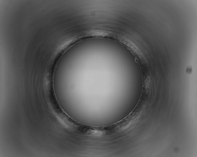 X0000100480352200806201635