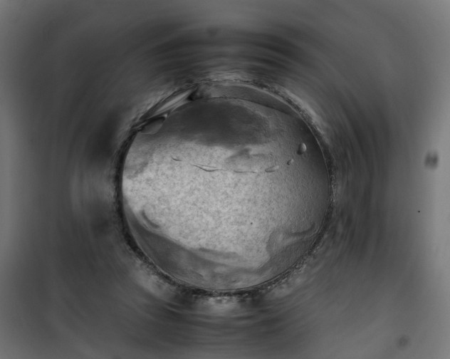 X0000100480353200806201635