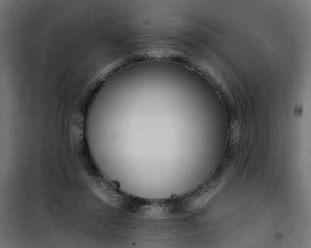 X0000100480356200806201635