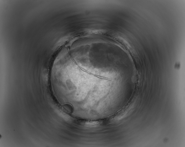X0000100480357200806201635